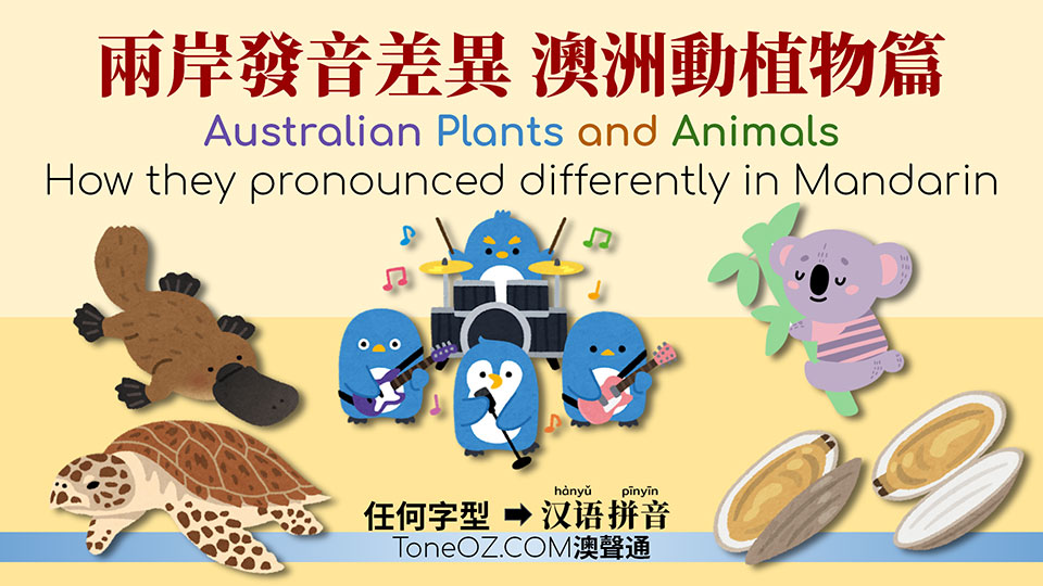 兩岸發音差異 澳洲動植物篇 — 企鵝,鴨獭,玳瑁…